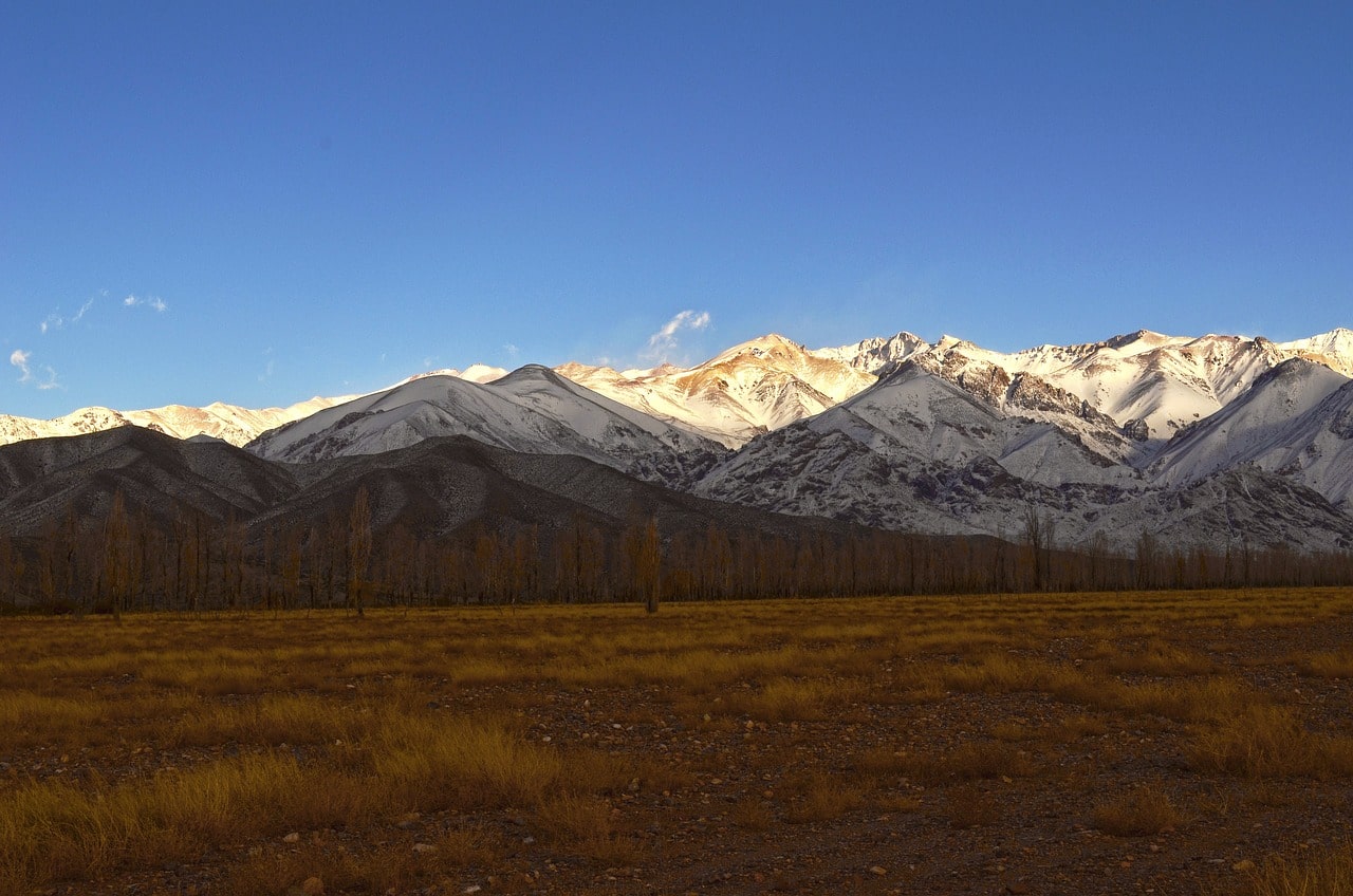 Mendoza