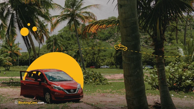 Auto rojo estacionado entre palmeras con gráficos amarillos tropicales.