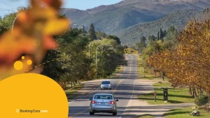 Ruta escénica entre árboles otoñales con montañas al fondo.