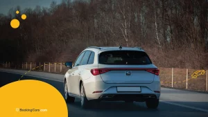 Auto tipo familiar circulando por carretera junto a bosque sin hojas.