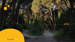Camino rural entre bosques con diseño gráfico de BookingCars.com
