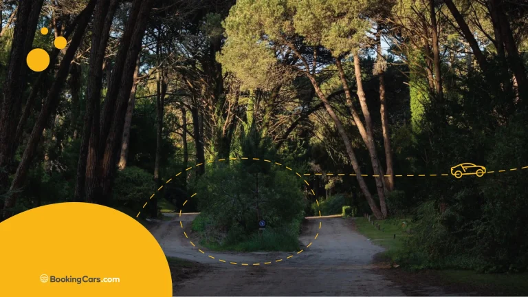 Camino rural entre bosques con diseño gráfico de BookingCars.com