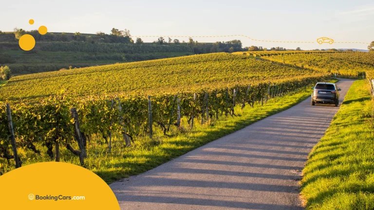 Auto recorriendo una ruta entre viñedos durante un viaje por las mejores rutas del vino en el mundo